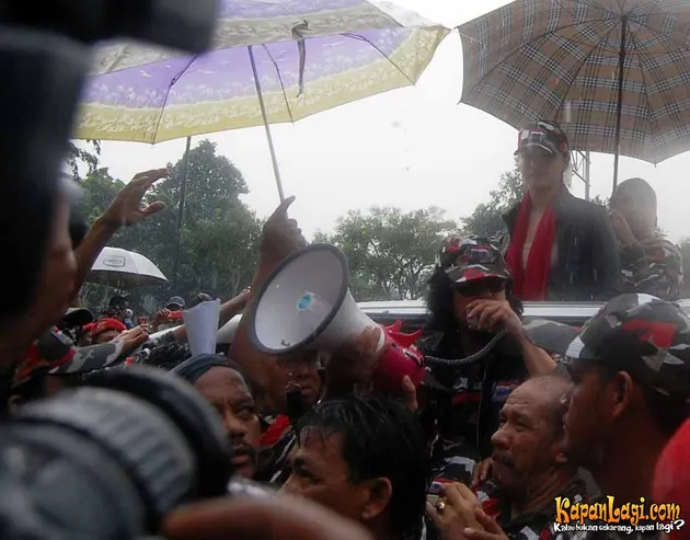 manohara odelia pinot