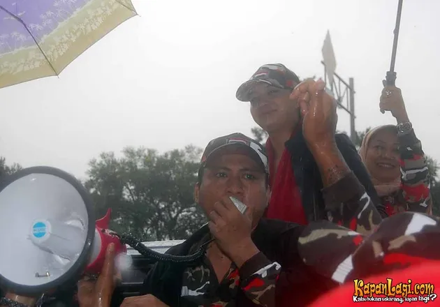 manohara odelia pinot