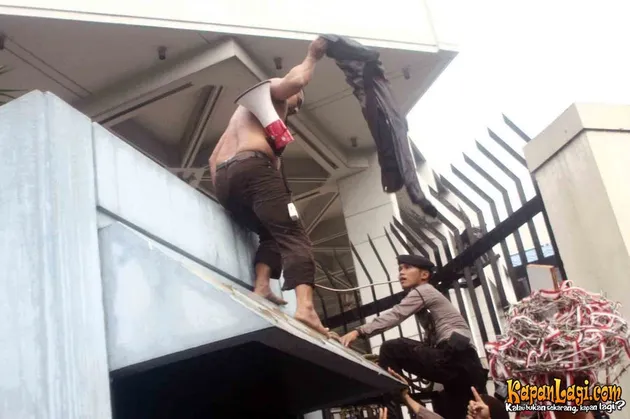 manohara odelia pinot