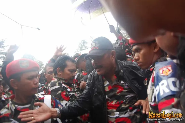 manohara odelia pinot