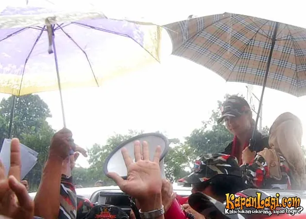 manohara odelia pinot