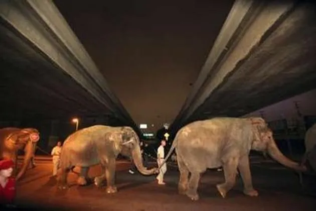 penghormatan terakhir michael jackson