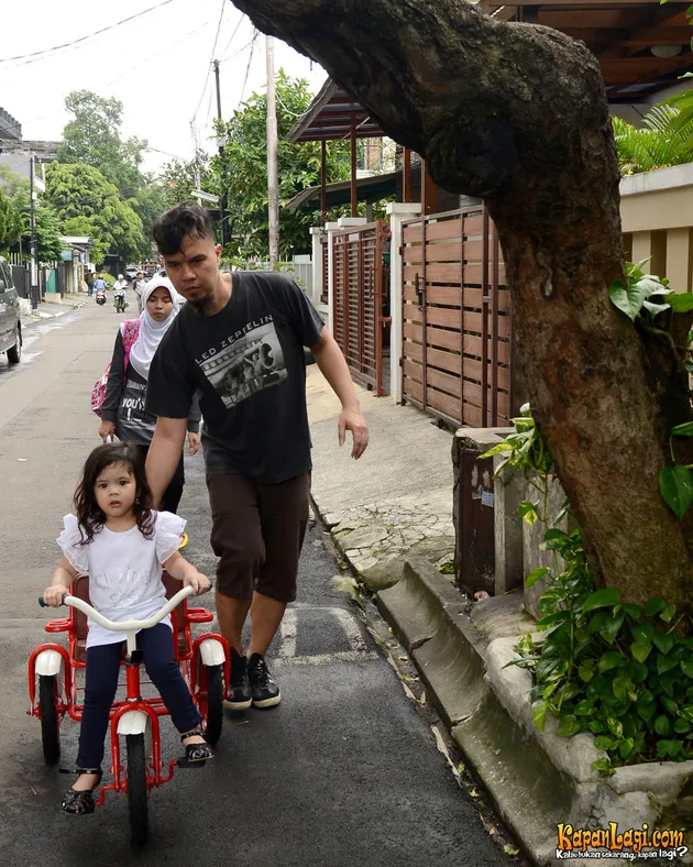 Safeea, Dhani