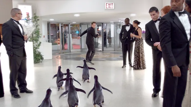 Mr. Popper\&#039;s Penguins