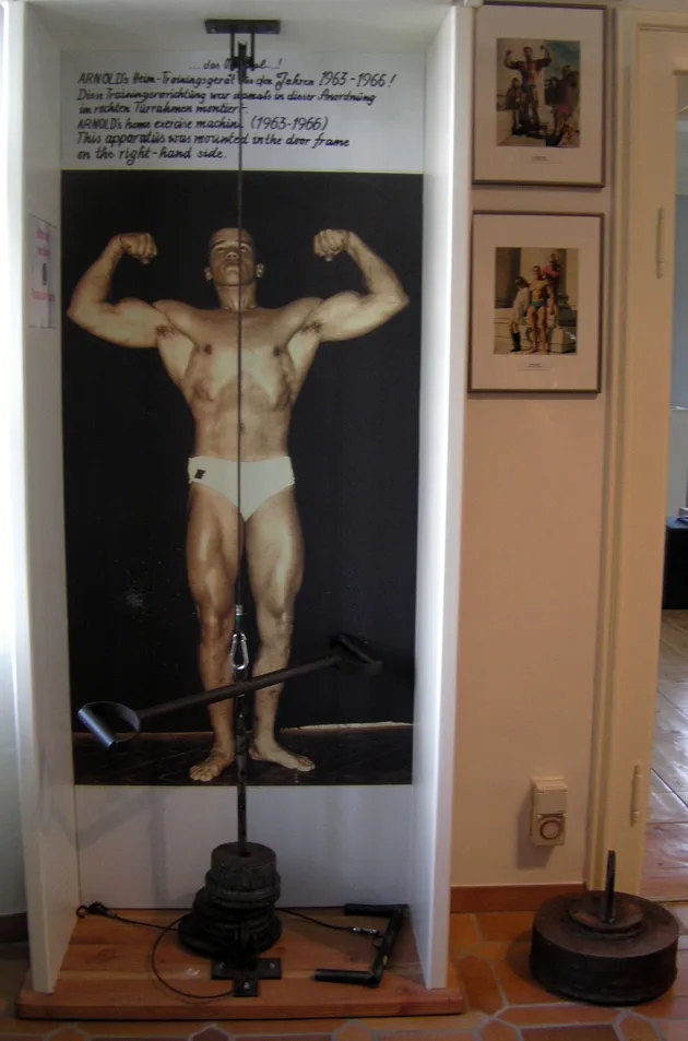 Arnold Schwarzenegger