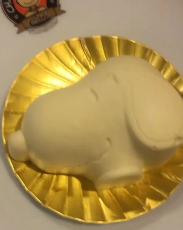 Laudya Cynthia Bella