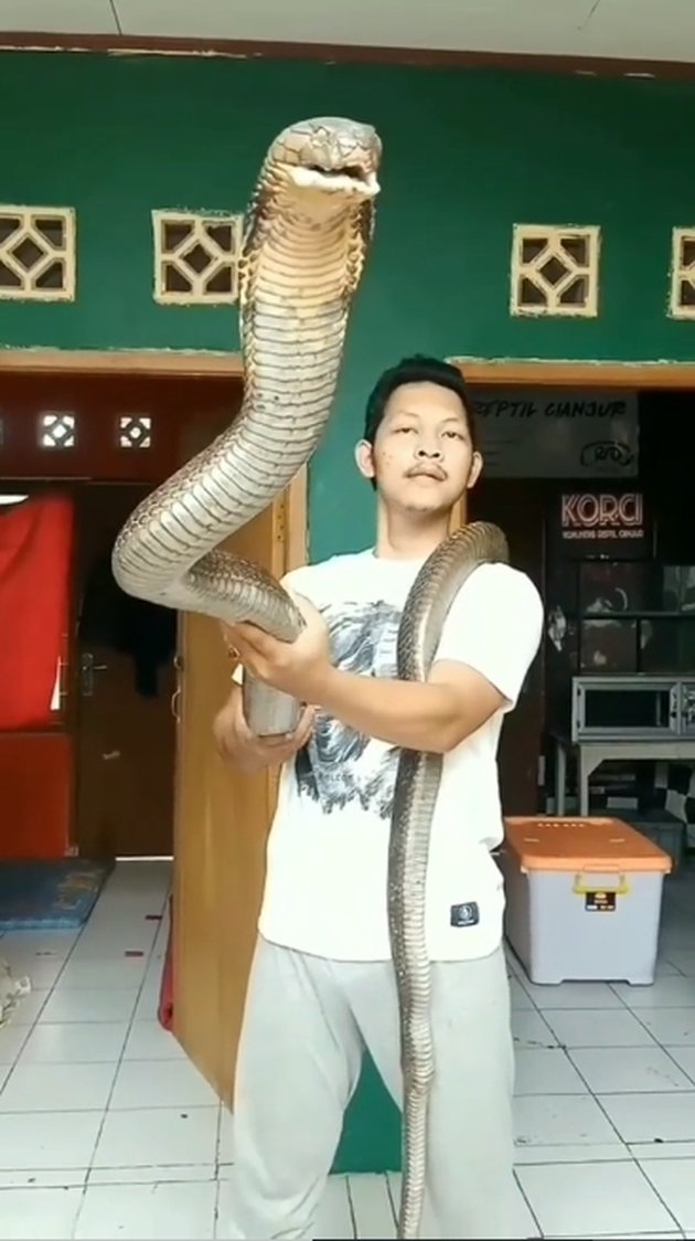 <nil>