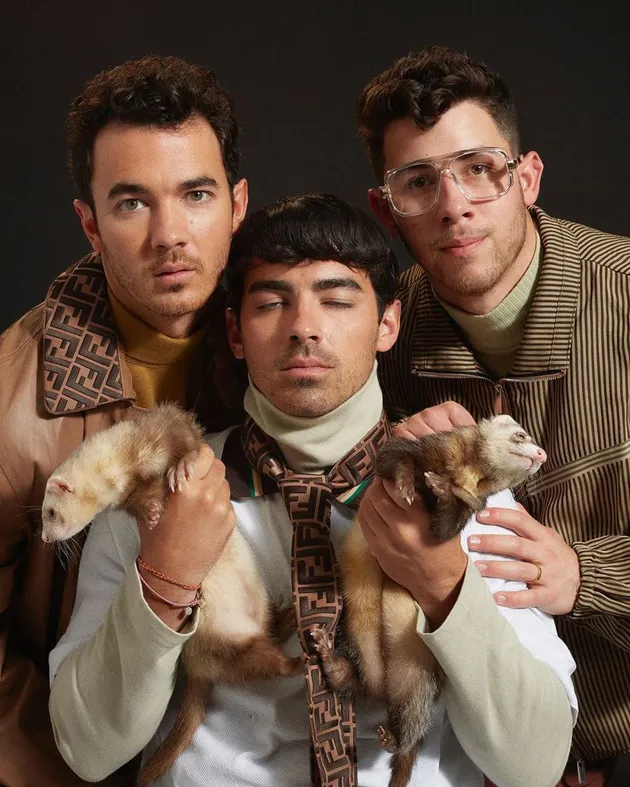 Jonas Brothers