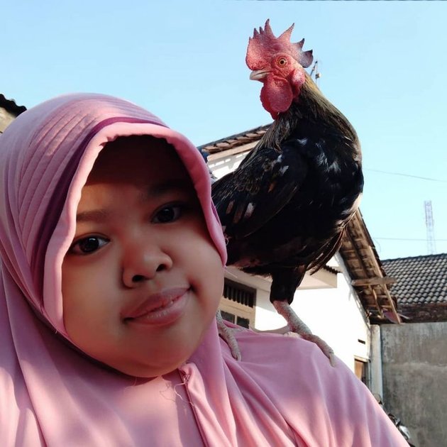 Super eccentric, Here are 7 Photos of Beauty Vlogger Kekeyi with her Pet Chicken