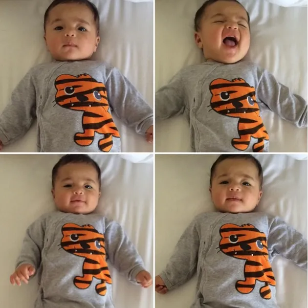 Baby Tigerlily, anak indah kalalo