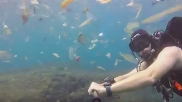 foto unik, foto aneh, foto lucu, foto keren