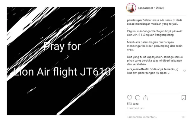 Pesawat Lion Air JT610