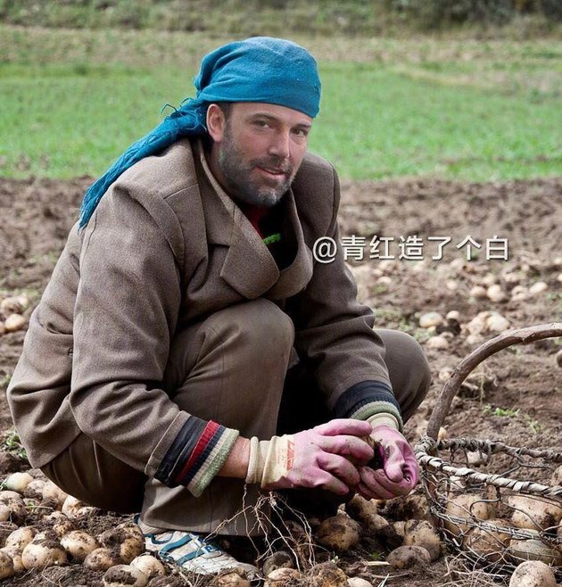 Tampaknya Ben Affleck sang Batman cocok juga ya menjadi petani kentang?