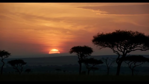 Inilah salah satu pemandangan di film THE LION KING. Matahari terbit yang menjadi ciri khas dari film ini