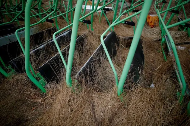 foto unik, foto aneh, foto lucu, foto keren