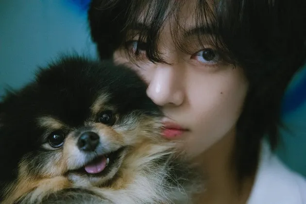 Foto Album Debut Solo V BTS