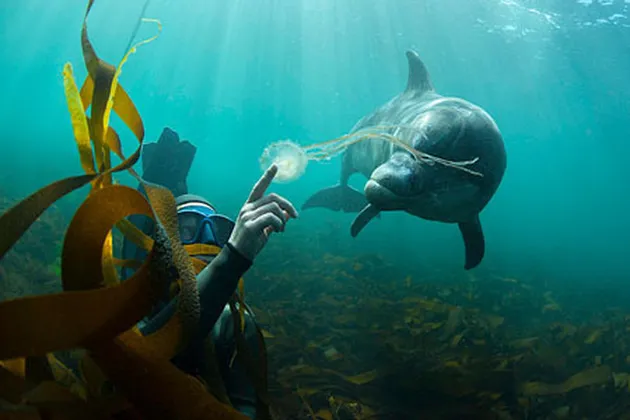 Foto-Foto Menakjubkan