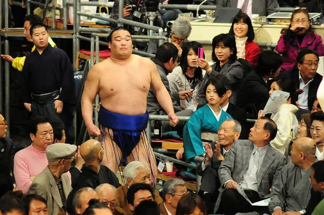 Fakta Unik Sumo