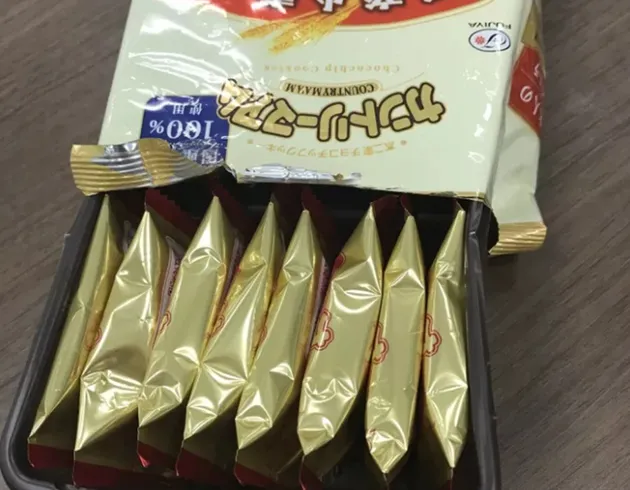 hal unik di Jepang, budaya Jepang, liburan di Jepang