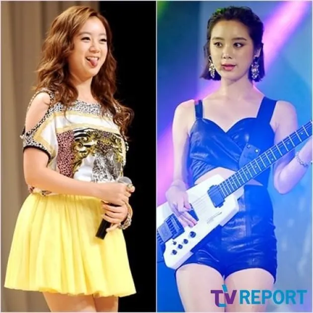 Diet Seleb Korea