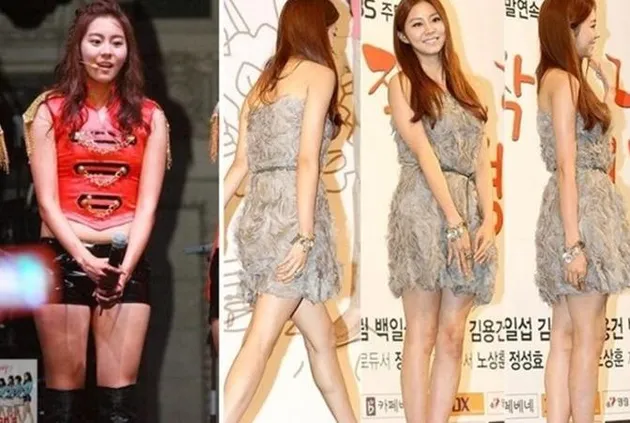 Diet Seleb Korea
