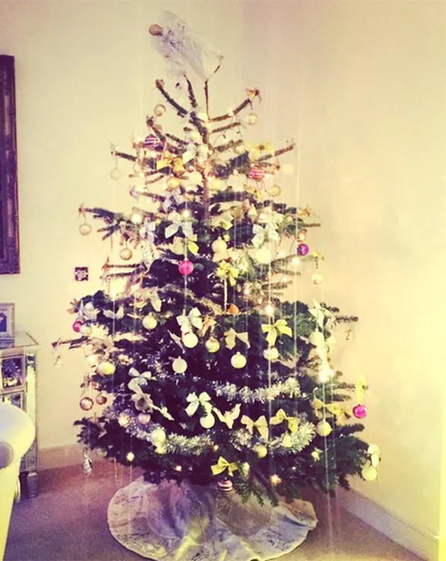 Pohon Natal Seleb Dunia