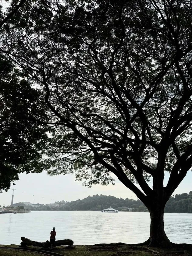 Unggahan terbaru Denada