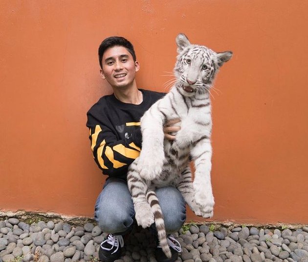 Beberapa waktu lalu, lewat akun Instagram miliknya, Alshad Ahmad sempat mengunggah foto dirinya dengan harimau benggala putih.