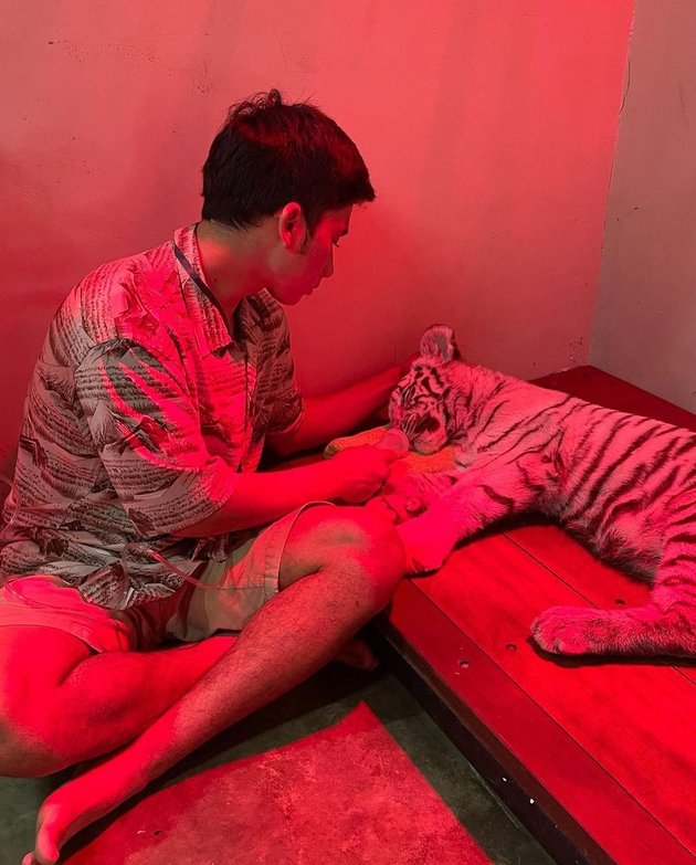 Portrait of Alshad Ahmad, Raffi Ahmad's Cousin, Taking Care of Sick Selen 'White Bengal Tiger', Giving a Hug - Selfie Photo Together