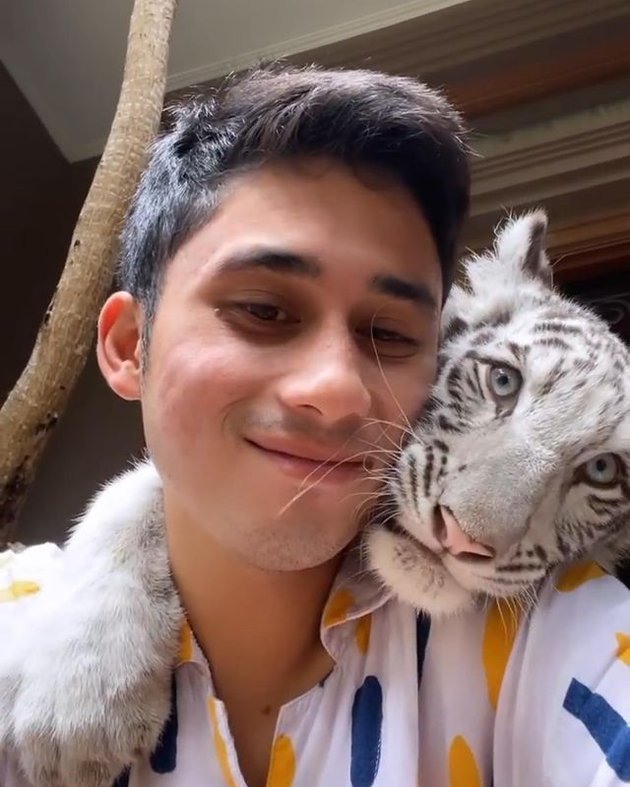 Portrait of Alshad Ahmad, Raffi Ahmad's Cousin, Taking Care of Sick Selen 'White Bengal Tiger', Giving a Hug - Selfie Photo Together