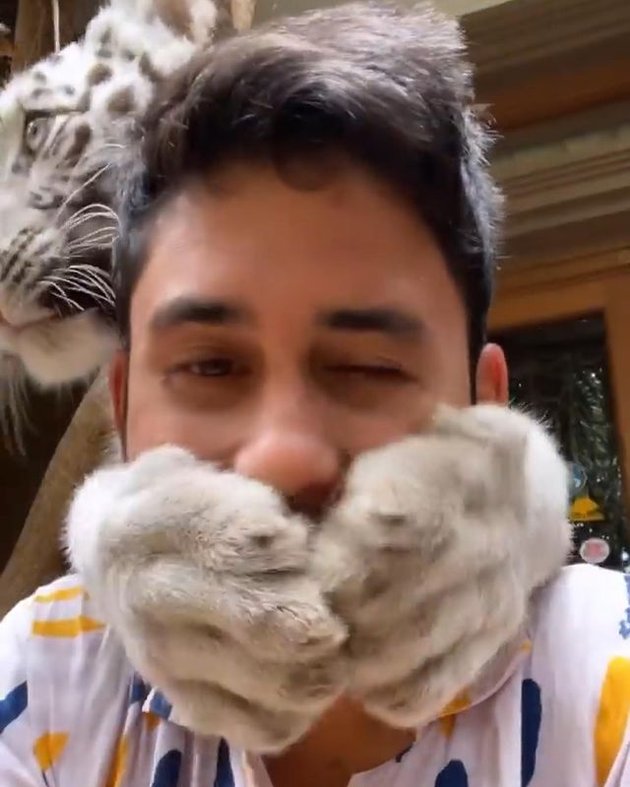 Portrait of Alshad Ahmad, Raffi Ahmad's Cousin, Taking Care of Sick Selen 'White Bengal Tiger', Giving a Hug - Selfie Photo Together
