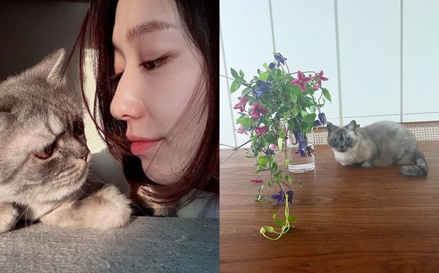Santai di rumah, begini potret bumil cantik Park Shin Hye saat santai ditemani kucing-kucing peliharaannya.