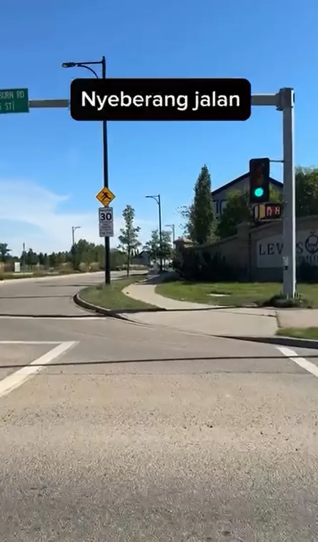 <nil>