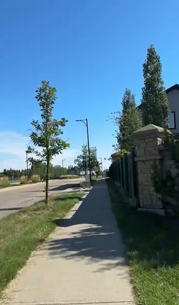 <nil>