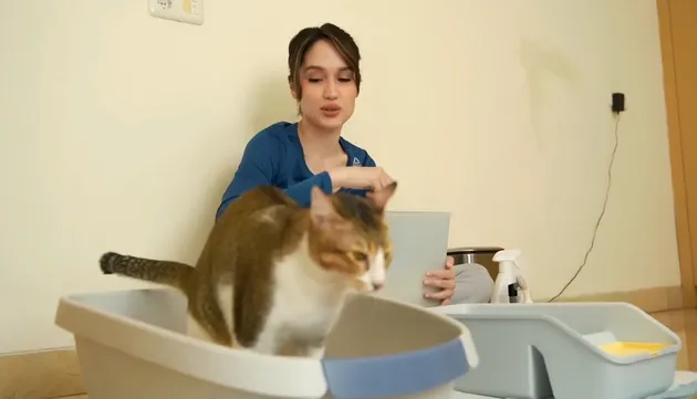 Cinta Laura bersihkan kotoran Kucing Kesayangannya