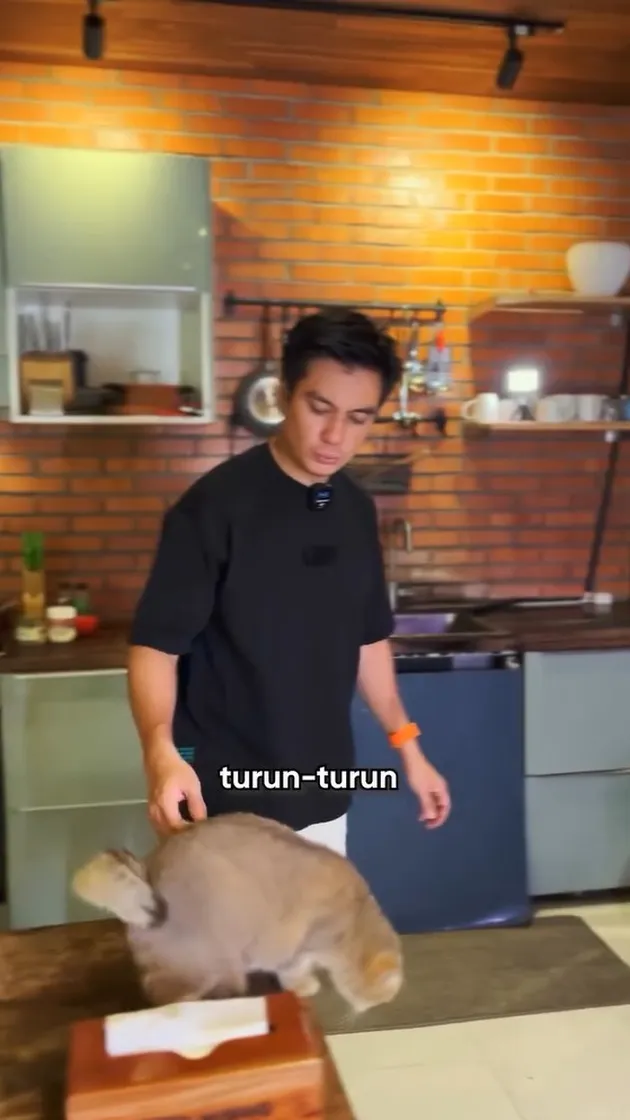 <nil>