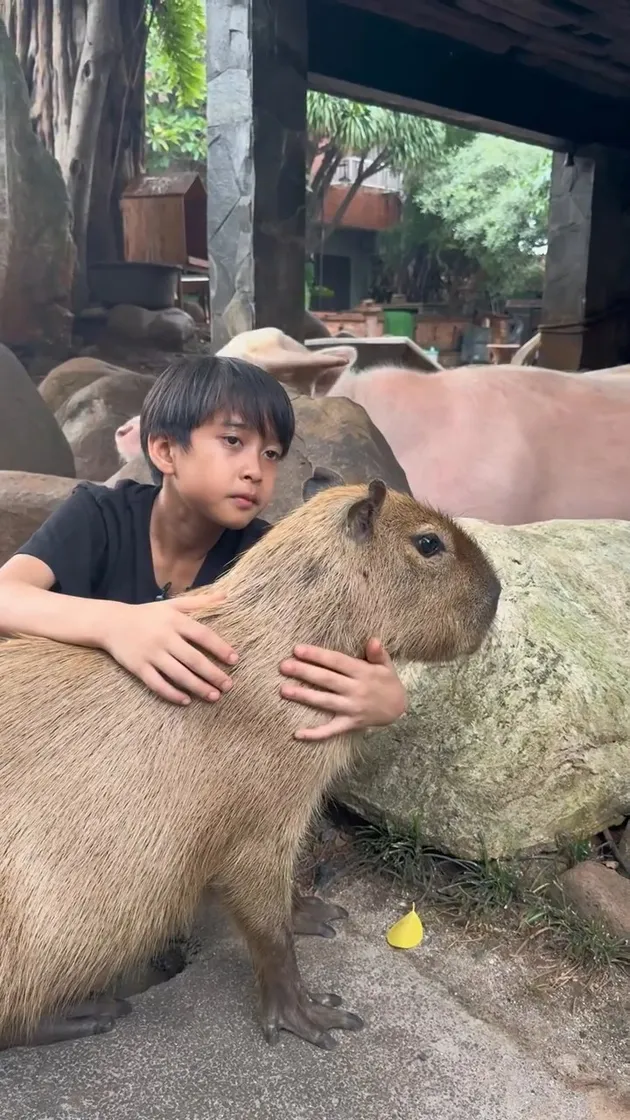 Djalu anak Irfan Hakim