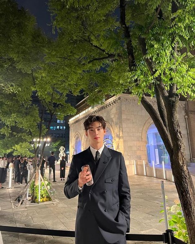 Handsome Portrait of Cha Eun Woo Attending Christian Dior Event, Exuding  Prince Charming Aura in Suit