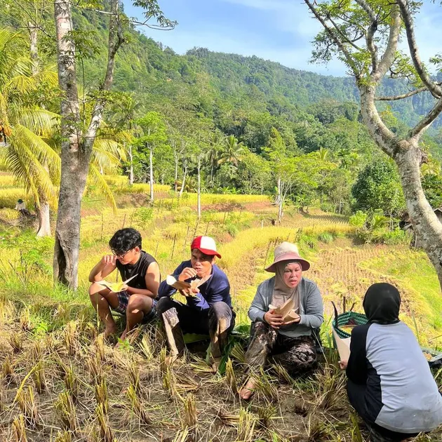Ibu, ayah, dan kakak Lesti makan di pematang sawah