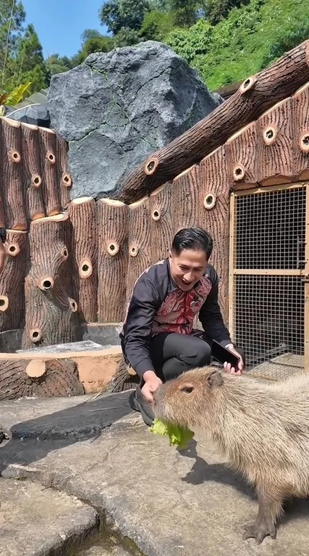Bermain dengan Capybara