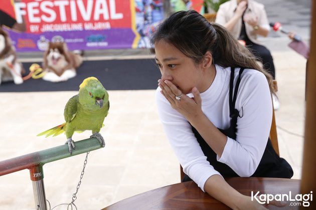 Portrait of Jacqueline Wijaya, a Celebgram and TikToker who went viral because of her content of taking care of dozens of birds