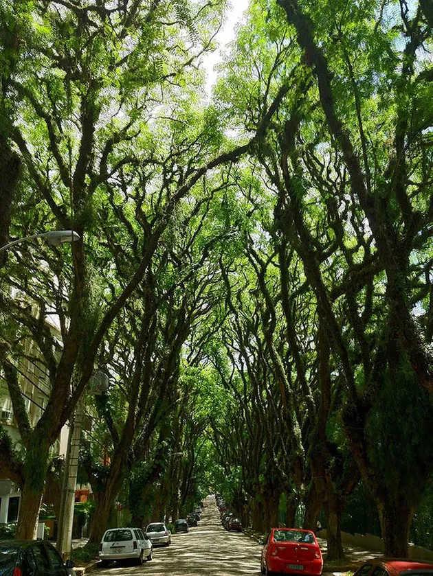 Jalan Terindah
