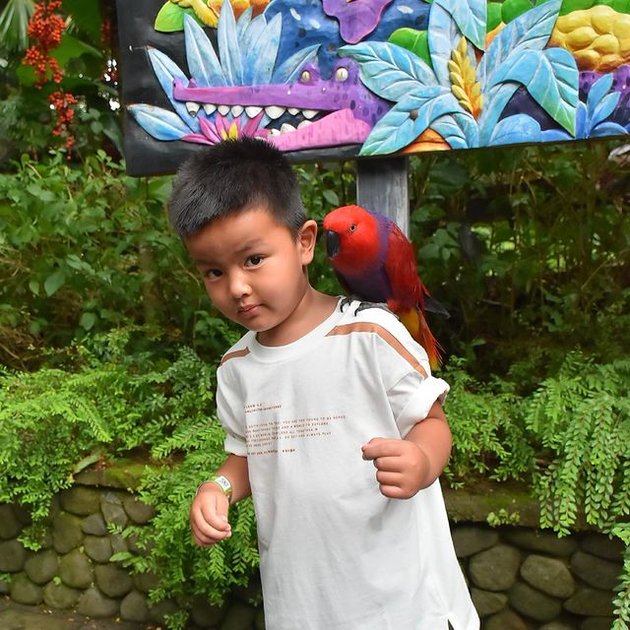 Moments of Togetherness of Nia Ramadhani and Ardi Bakrie with Their Children, Celebrating Mikhayla's Birthday - Arung Jeram