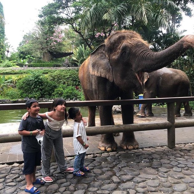 Moments of Togetherness of Nia Ramadhani and Ardi Bakrie with Their Children, Celebrating Mikhayla's Birthday - Arung Jeram