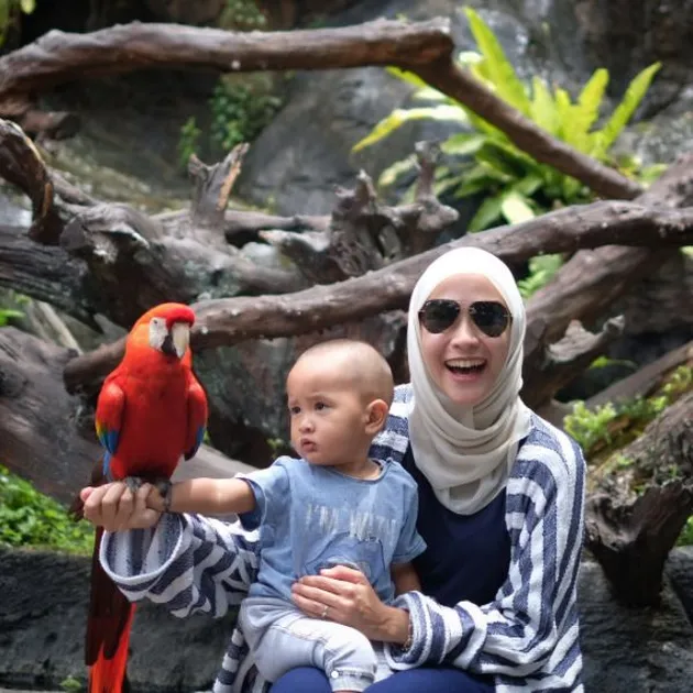Zascia Mecca\&#039;s Holiday