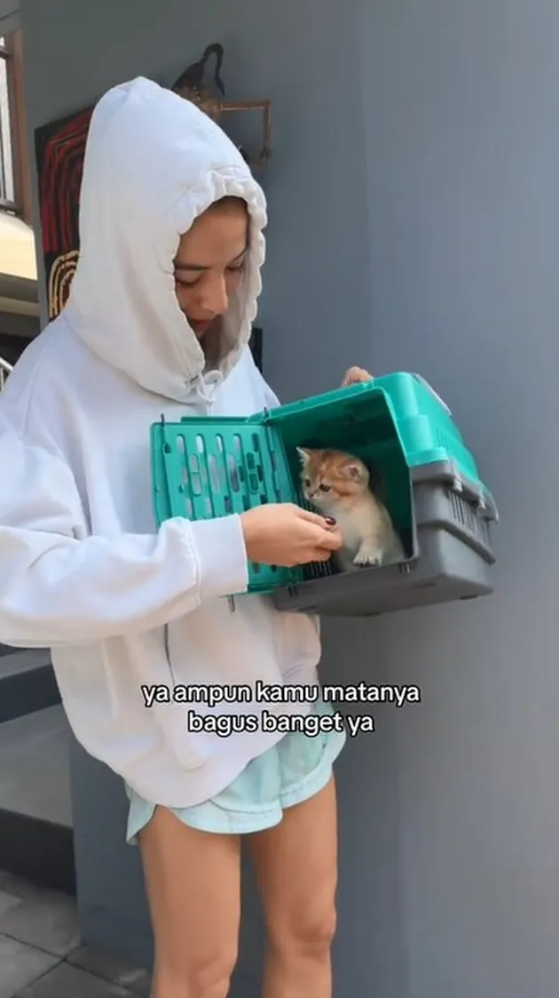 <nil>