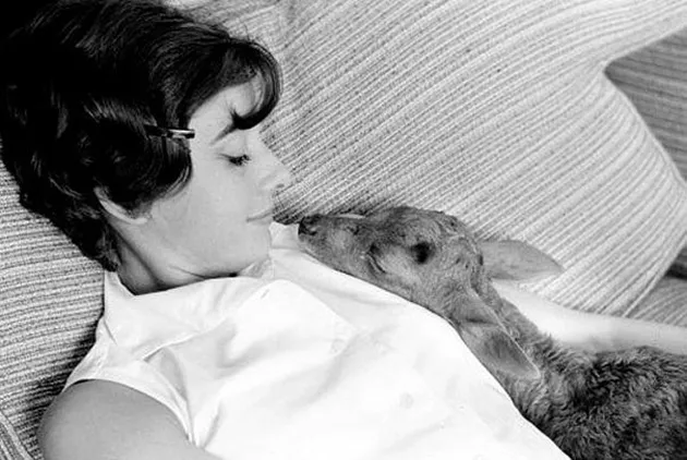 Audrey Hepburn