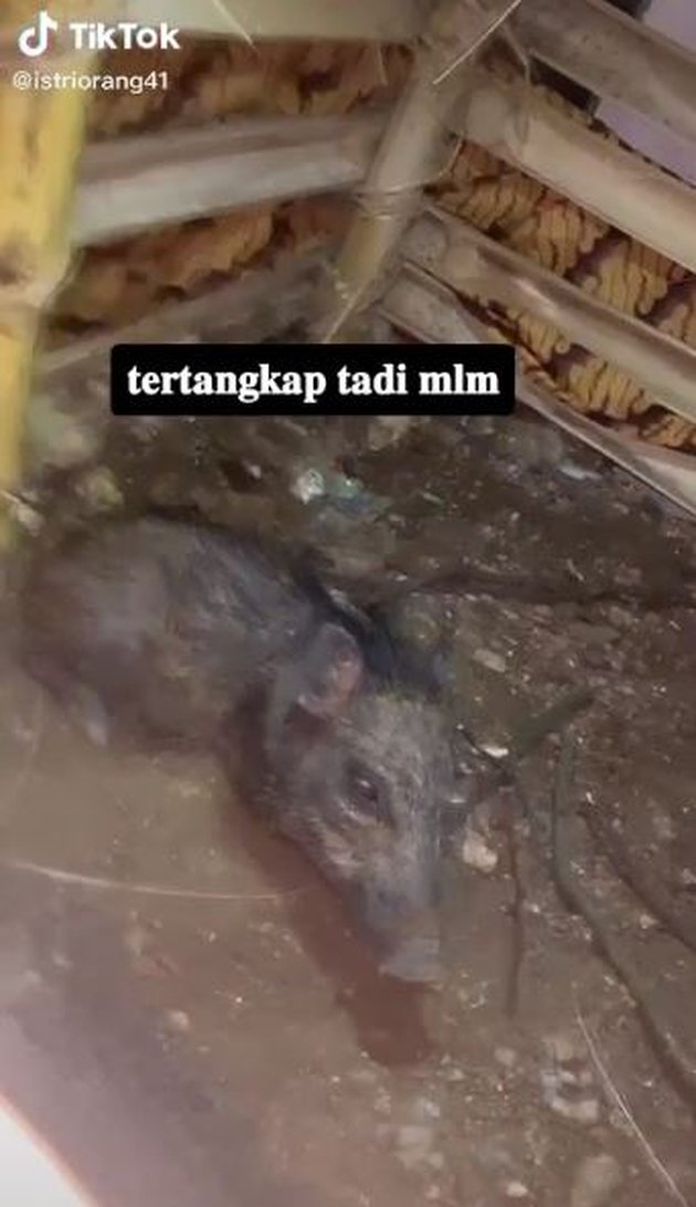 <nil>