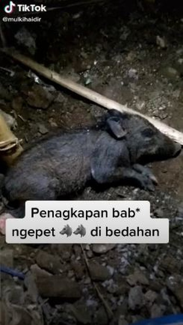 <nil>