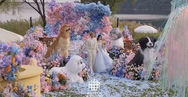 Dekorasi bagai fairy tale